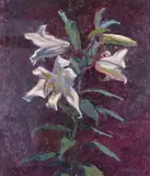 Lilium Auratum - Lilies Signed Oil by Christopher Sanders, Oil on canvas, sold Dec 2015