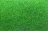Grass painting 3 Signed and titled on backing board verso Oil by Andy Harper, 1998, Oil on board, unframed, sold Dec 2015