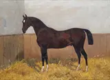 A hunter in a stable Signed and dated 79 Oil by George Paice, Oil on canvas, sold Dec 2015