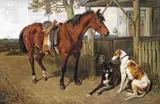 Waiting for master Signed Oil on canvas 61 x 92cm; 24 x 36in ++Relined, good restored condition by John Emms, Oil on canvas, sold Dec 2015