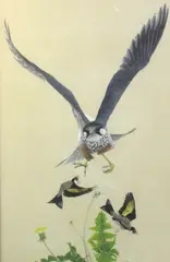 Peregrine falcon and goldfinches by Jonathan Sainsbury, gouache, offered Jan 2013