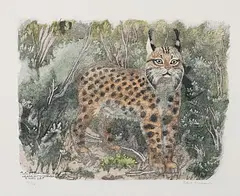 Luchs by Robert Hainard, 1967, color woodcut, sold Dec 2015