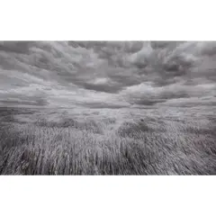 Wheatfields by Lawrence McFarland, 1980, gelatin silver print, sold Jan 2024