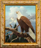 Eagle by Charles Damrow, oil on canvas, sold Jan 2024