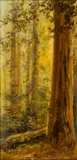 Redwoods by Charles Henry Harmon, oil on board, sold Feb 2024