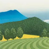 Untitled by Sabra Field, woodcut, sold Feb 2024