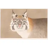 Bobcat by Beth Van Hoesen, 1986, etching with aquatint, sold Feb 2024