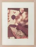 Okra Scale by William Eggleston, circa 1980, Photograph, sold May 2025