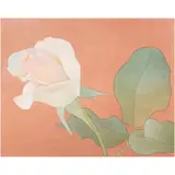Ivory Rose by Mark Adams, 1989, lithograph, sold Feb 2024