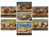Satz von Sieben Stillleben mit Früchten, Pilzen und Flusskrebsen by Octavianus Montfort, tempera, offered Sep 2024