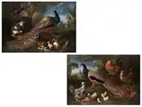 Grossformatige Darstellungen von Pfauen, Umgeben von Weiterem Federvieh by David de Coninck, oil on canvas, sold Dec 2023