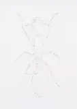 Ameise by Peter Kogler, 1992, ink, sold Dec 2014