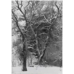 Near Cuchara by Myron Wood, gelatin silver print, sold Feb 2024