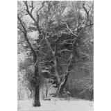 Near Cuchara by Myron Wood, gelatin silver print, sold Feb 2024