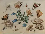 Schmetterlinge, Muscheln, Insekten und Blütenzweig by Jan van Kessel d.Ä., oil, offered Apr 2016