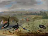 Exotische Vögel in Fernöstlicher Landschaft by Jan van Kessel, oil on copper, offered Mar 2015