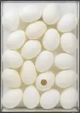 20 Eggs by Krista Van Ness, 1996, mixed media, sold Mar 2024