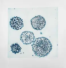 Cluster by Ross Bleckner, 2002, Etching and Aquatint in Colors on Paper, sold Jul 2025