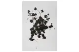 Untitled by Cornelia Parker, lithograph, offered Jun 2022