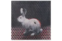 Untitled by Charming Baker, screenprint, offered Jun 2022