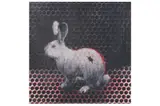 Untitled by Charming Baker, screenprint, offered Jun 2022