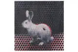Untitled by Charming Baker, screenprint, offered Jun 2022