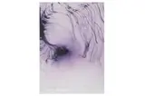 Untitled by Wolfgang Tillmans, photograph, offered Jun 2022