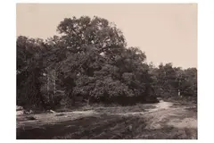 Untitled by Eugène Cuvelier, print, offered May 2022