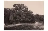 Untitled by Eugène Cuvelier, print, offered May 2022