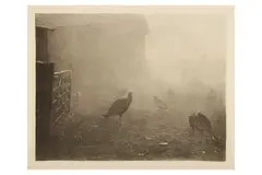 Untitled by Peter Henry Emerson, pencil, offered May 2022