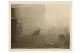 Untitled by Peter Henry Emerson, pencil, offered May 2022