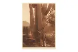 Untitled by Edward S. Curtis, photograph, offered May 2022