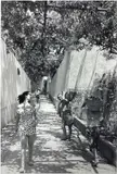 Untitled by Bert Hardy, Silver gelatin print, printed later, image size, offered May 2022