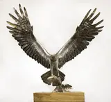 Osprey Stainless Steel on Wood Base Signed and dated 2015 96cm high, 100cm wide, 60cm deep On view at: The Sculpture Park by Piers Mason, 2015, Steel on Wood Base, offered Jul 2019