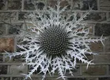 Eryngium Stainless Steel; unique 150 cm diameter On view at: The Sculpture Park by Ruth Moilliet, Steel; unique, sold Jul 2019