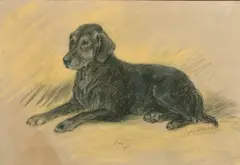 British, Study of a black Labrador Roy by Lucy Dawson, 1955, pastel, sold Aug 2022