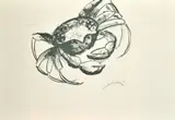 South African, a quantity of prints of various techniques, mostly signed, some artist proof, (q) by Stella Shawzin, print (other), offered Aug 2022
