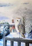 Print - study of a barn owl on the old vicarage gate by Colin Woolf coloured limited edition, print, sold May 2017