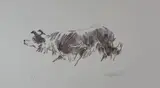 Print - stalking sheepdog by Kyffin Williams Ra artist's proof, print, sold May 2017