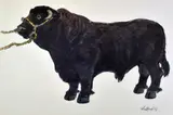 Print - standing prize-bull by Kyffin Williams Ra lithograph, lithograph, offered May 2017