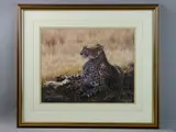 Print - a cheetah resting in the shade by Simon Combes limited edition, print, offered Mar 2017