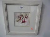 Fuschia flowers, watercolour, signed lower left, 14.5cm x 14.5cm by Ann Blockley, watercolour, sold Aug 2015
