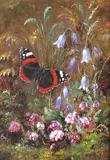 Red Admiral by Albert Durer Lucas, 1889, Oil on canvas, sold Dec 2015