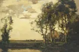 Birch trees by a pool Signed Oil on panel 25.5 x 36cm ++Good condition by David Murray Smith, Oil on panel, offered Dec 2015