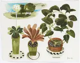 Michael’s plants Signed and dated 1993, also signed and titled on a label verso Watercolour 25 x 32.5cm ++Good condition by Mary Fedden, 1993, Watercolour, sold Dec 2015