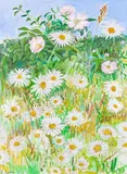 Wild flowers on a roadside hedge Signed and dated 1998 Watercolour over pencil 60 x 43.5cm ++Good condition by Frederick Gore, 1998, Watercolour over pencil, sold Dec 2015