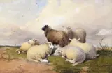Sheep resting by a track Signed and dated 1879 Watercolour by Thomas Sidney Cooper, 1879, Watercolour, sold Dec 2015