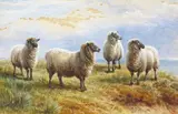 Sheep on a clifftop Signed with a monogram and dated 84 Watercolour 29 x 44cm; 11½ x 17¼ ++Some paper staining/discolouration mainly visible in the sky by Charles Jones, Watercolour, sold Dec 2015