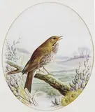 Winter time by Harry Bright, watercolour, offered Dec 2015