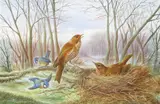 The herald of spring Signed and dated 1891 by Harry Bright, 1891, Watercolour, offered Dec 2015